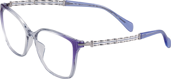 Bildangaben anzeigen